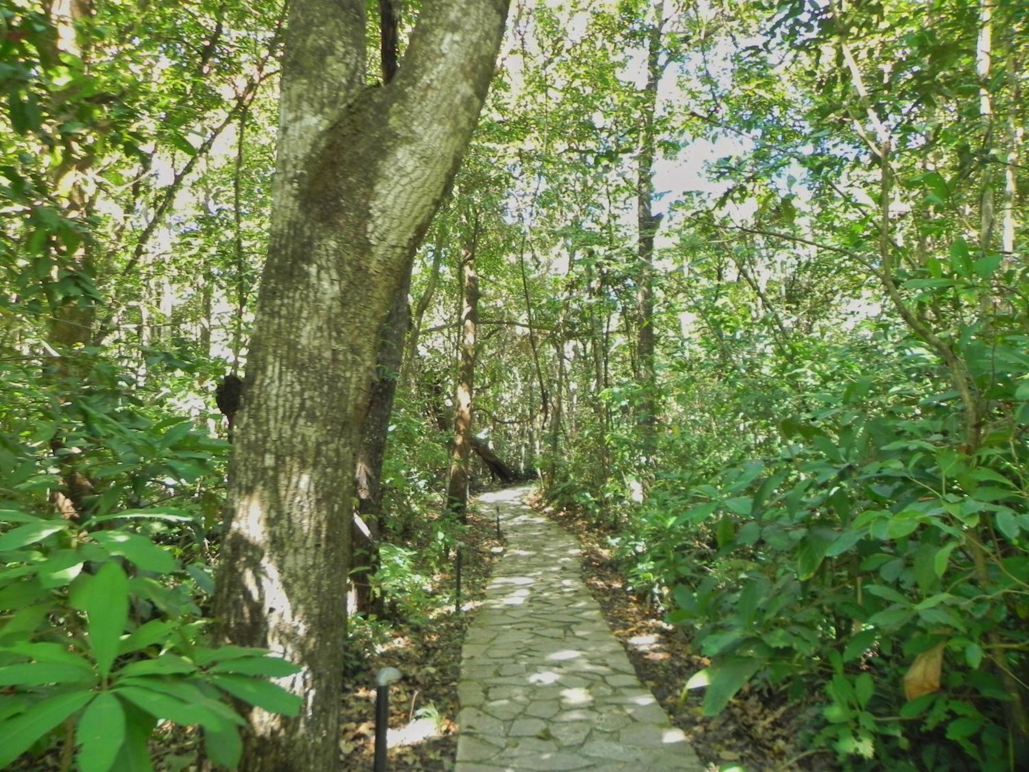 Pousada Eden - Conforto, Imersao E Natureza São Jorge Exterior foto