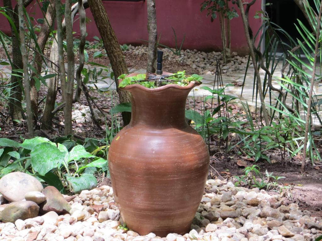 Pousada Eden - Conforto, Imersao E Natureza São Jorge Exterior foto
